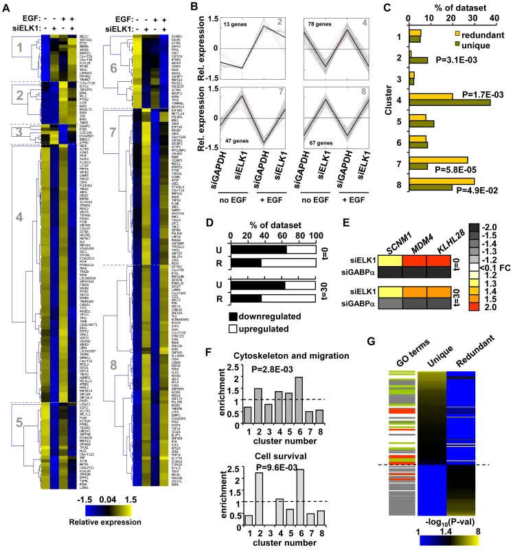 “Unique” and “redundant” ELK1-bound regions regulate distinct sets of target genes.