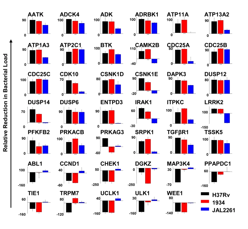 Overlapping sensitivities of different MDR-Mtb strains to the effects of target-specific siRNA.