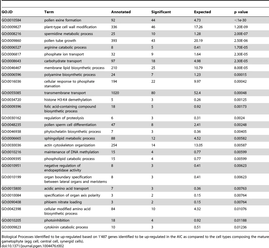Gene ontology analysis.