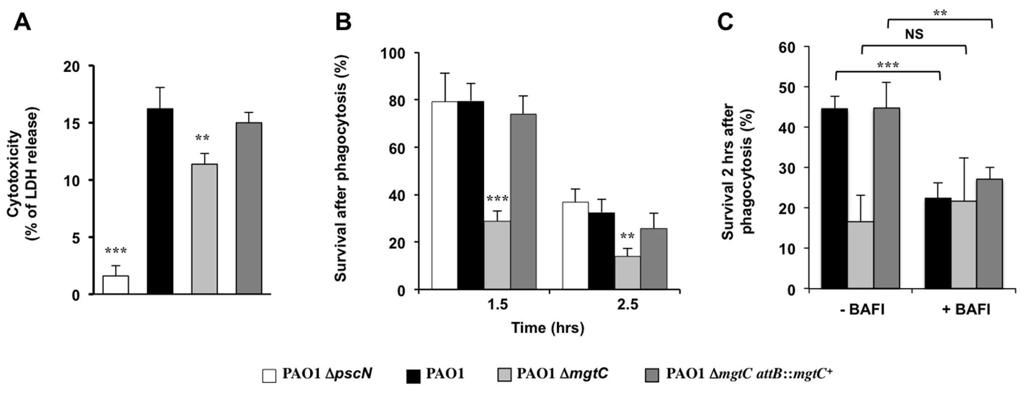 Behaviour of <i>mgtC</i> mutant towards J774 macrophages.