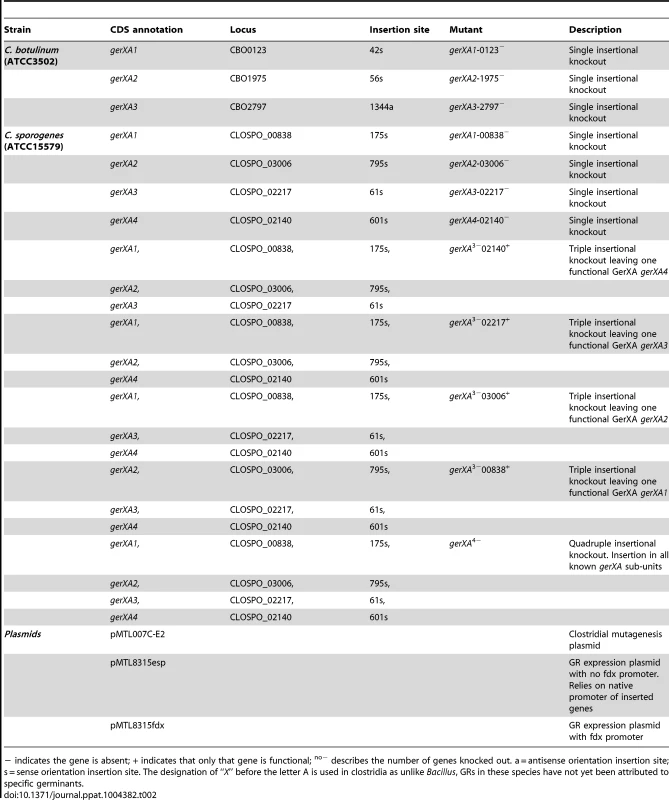 Constructed mutants and plasmids utilised in this study.