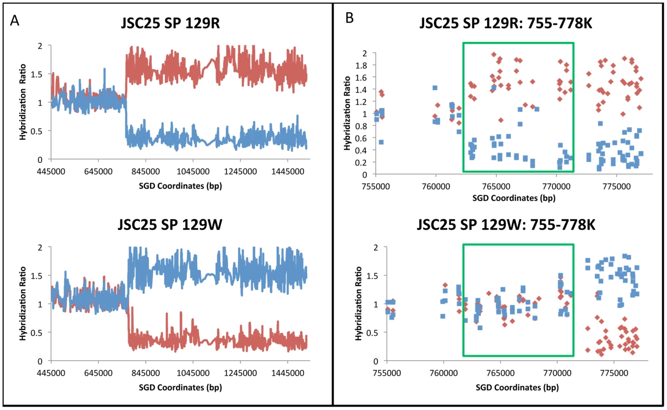 Mapping of a crossover with an associated 3∶1 conversion event by SNP microarrays.