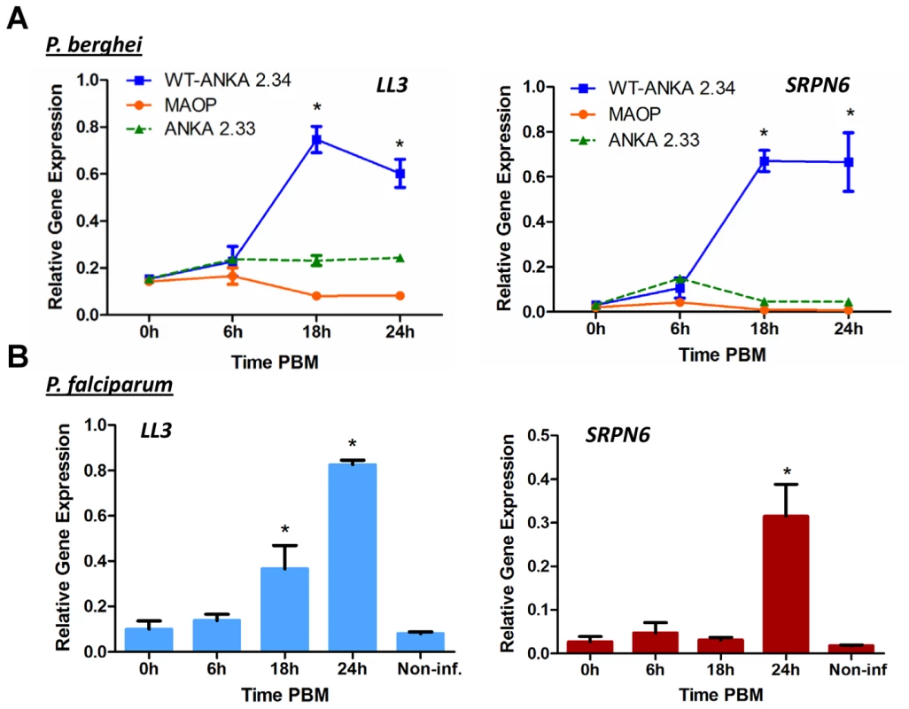 Expression of LL3 in response to <i>Plasmodium</i> infection.