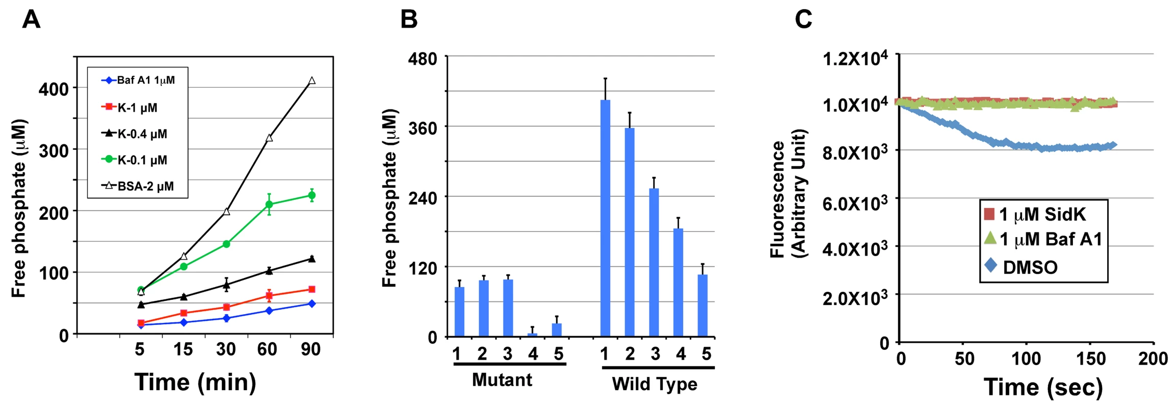 SidK inhibits v-ATPase-mediated ATP hydrolysis and proton translocation.