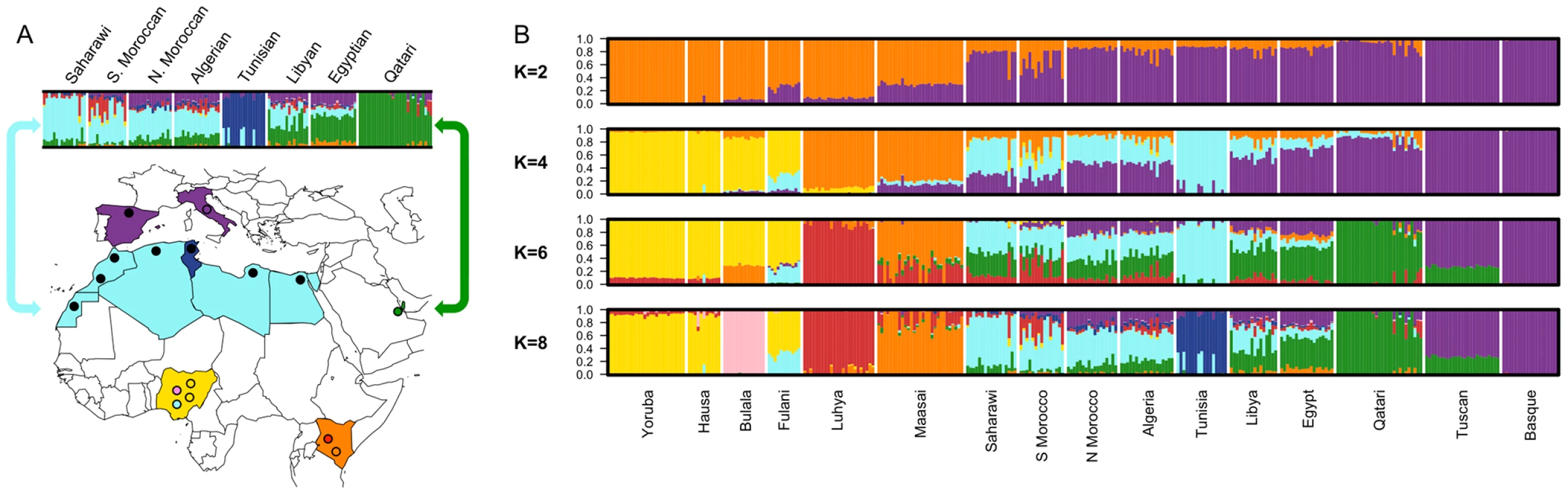 Map of samples and population structure of North Africa and neighboring populations.