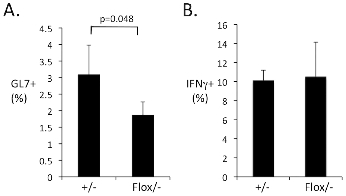 B cell-intrinsic Myd88 regulates germinal center B cells but not CD4 T cell IFNγ expression.