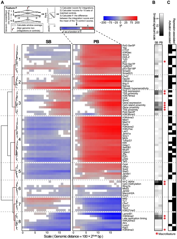Scale-based analysis of integration bias.