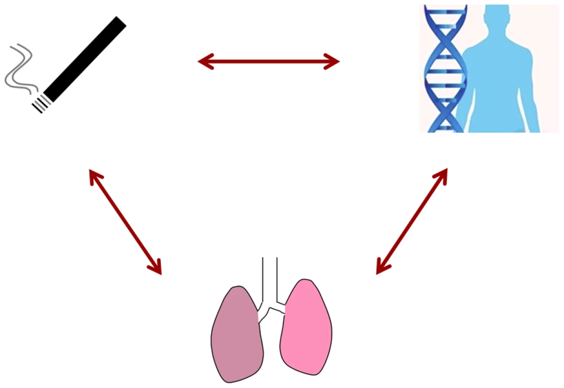 In this issue of <i>PLOS Genetics</i>, Hancock et al. address gene–environment interaction effects based on smoking status, GWAS data, and lung function outcomes in over 50,000 adults.