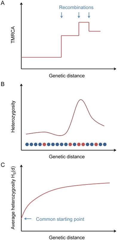 Explanation of the statistic <i>H</i><sub><i>S</i></sub>(<i>d</i>).