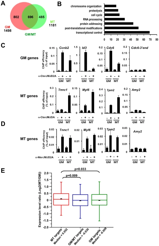 Genome-wide analysis of JMJD2A-associated promoters.