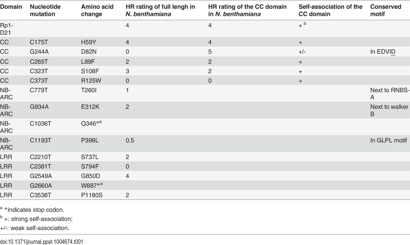 Mutations that abrogated <i>Rp1-D21</i>-induced HR identified in an EMS mutagenesis screen in maize.