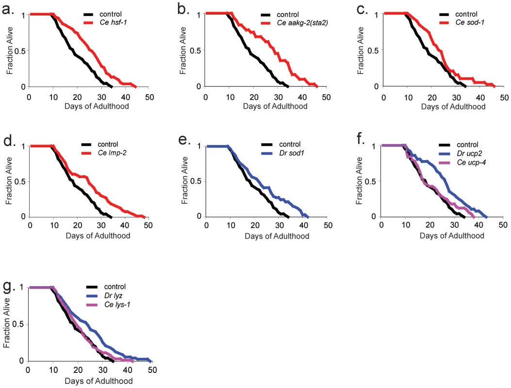 Seven aging components that can extend lifespan.