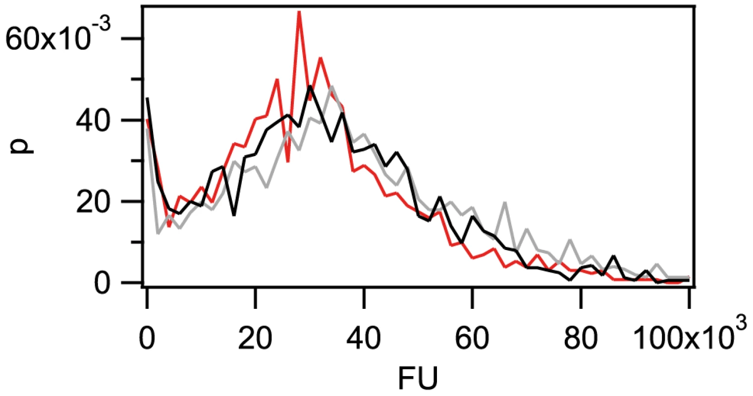 The amount of imported Cy3-DNA after 1 h is independent of fragment length.