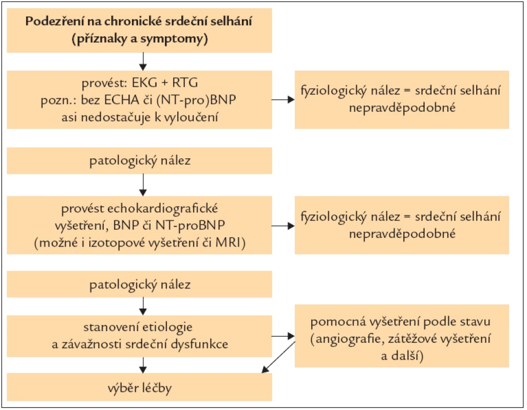 Algoritmus diagnostiky CHSS.