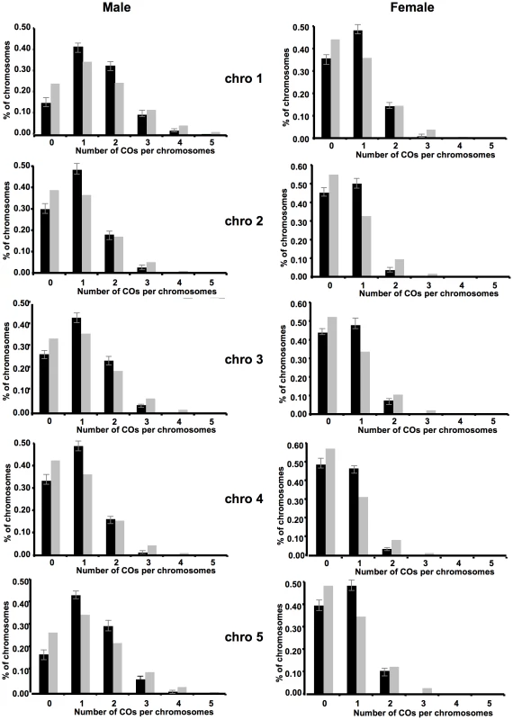 Distributions of CO numbers per chromosome in male and female meiosis.