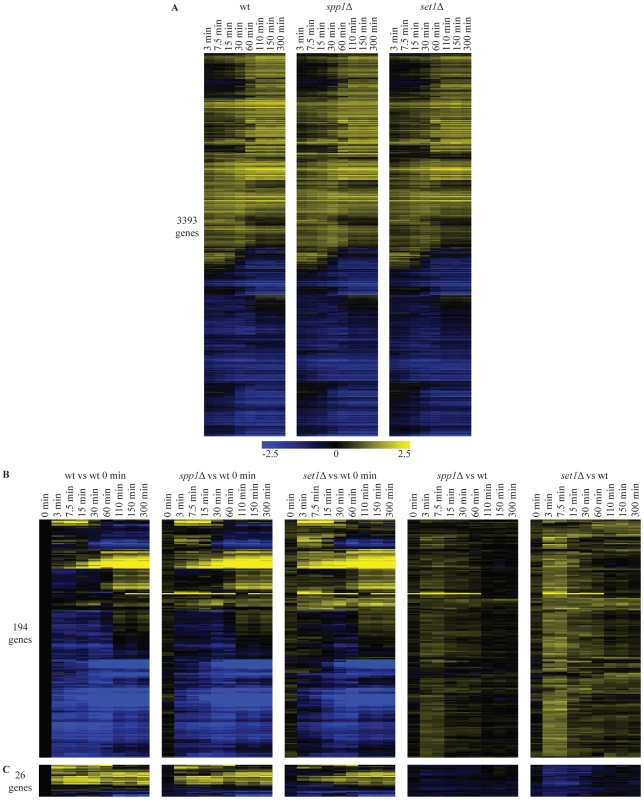 Loss of H3K4 di- and trimethylation leads to a delay in repression kinetics for a subset of genes.