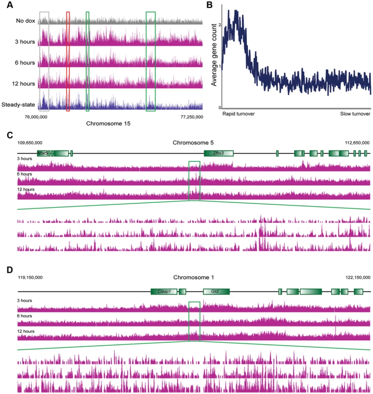 MacroH2A2 dynamics in ES cells.
