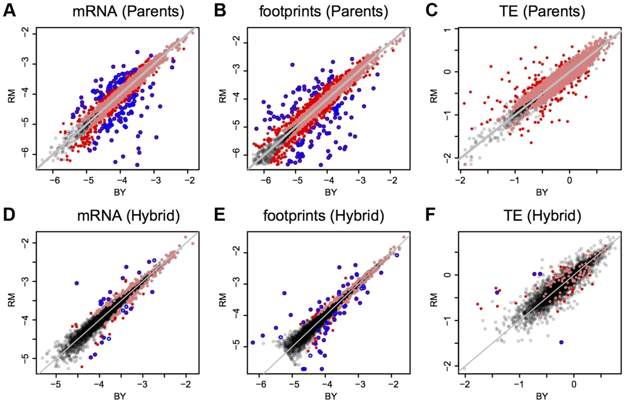 Expression in BY vs. RM and ASE in the hybrid.