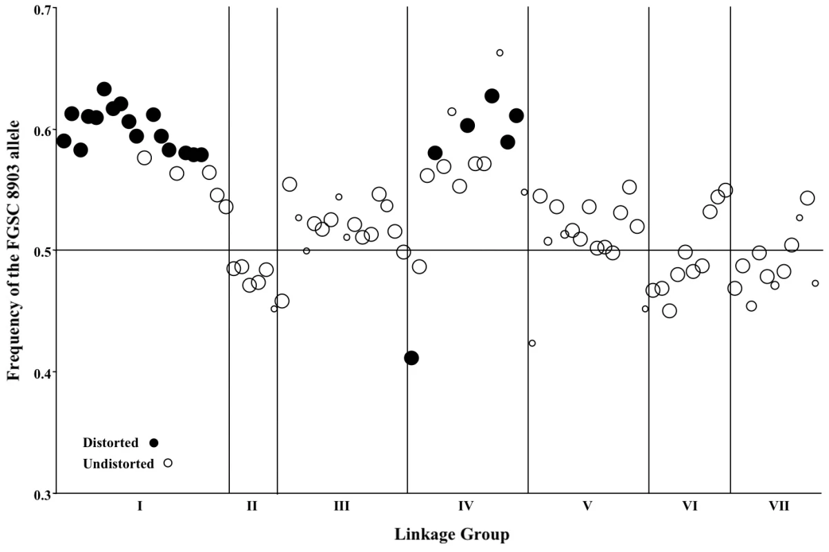 Segregation of mapped markers in the <i>N. crassa</i> NcA × NcC mapping population.