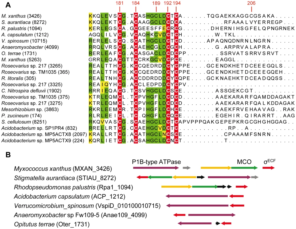ECF σ factors with CRD in other bacteria.