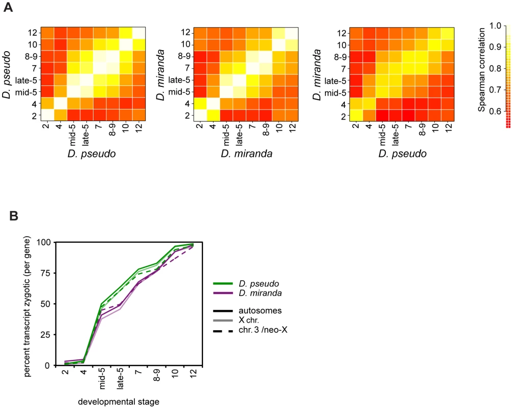 Timing of transcript abundances in <i>D. pseudoobscura</i> and <i>D. miranda</i>.