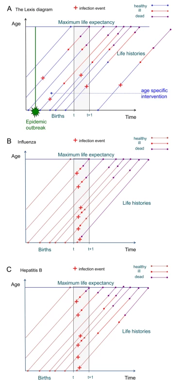 The Lexis diagram shows events by age and time.