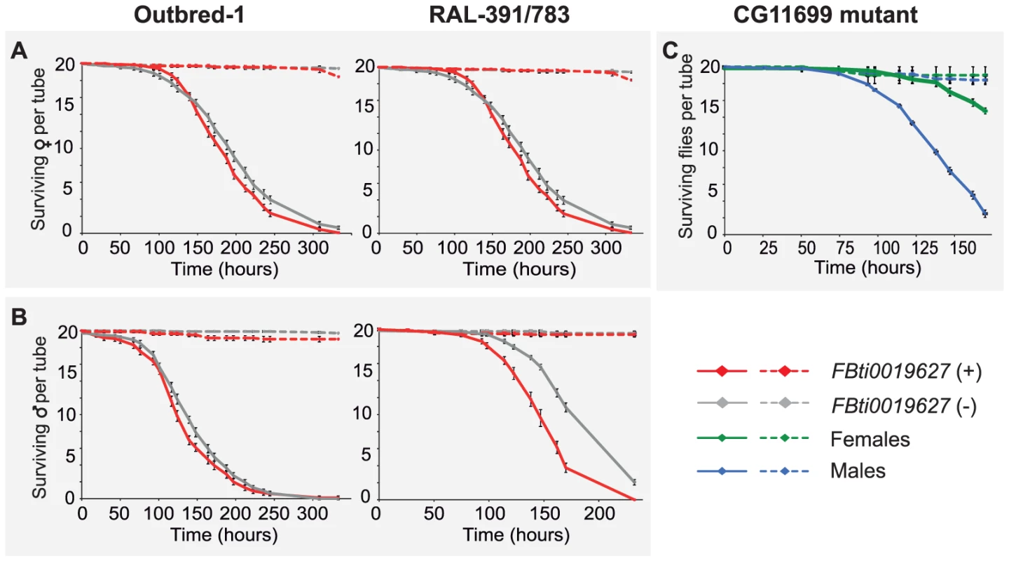 <i>FBti0019627</i> is not associated with increased resistance to H<sub>2</sub>O<sub>2</sub> induced oxidative stress.
