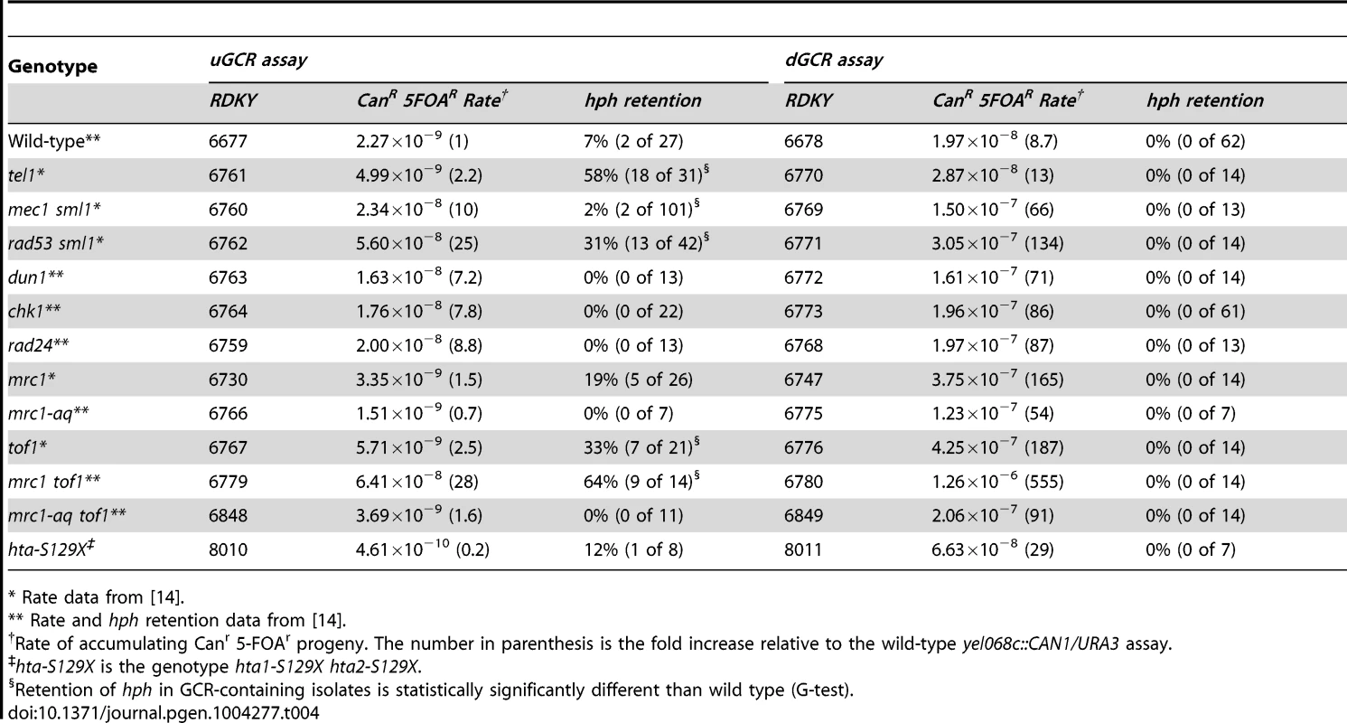 GCR rates and percent <i>hph</i> retention in checkpoint defective mutants.