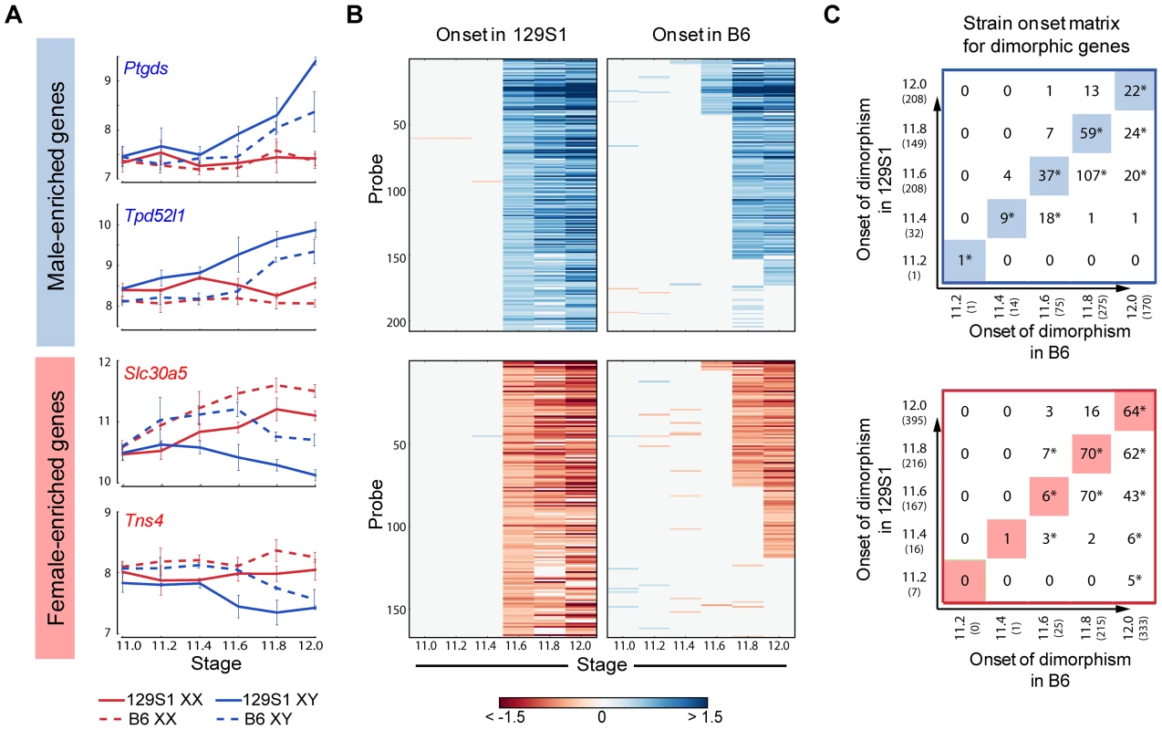 Dimorphic expression of multiple male- and female-enriched genes in B6 is delayed compared to 129S1 mice.