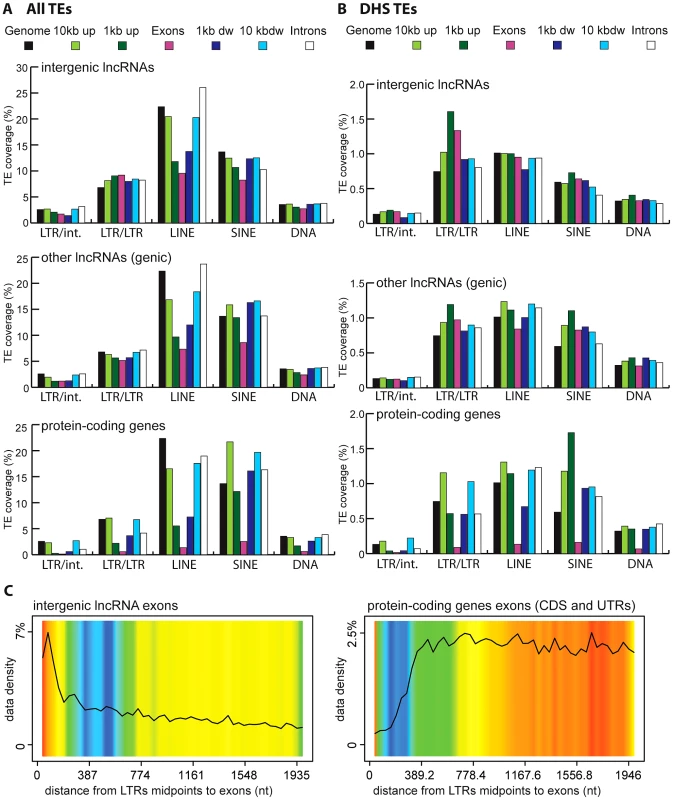 TE amounts and types in human lncRNA and their surrounding regions.