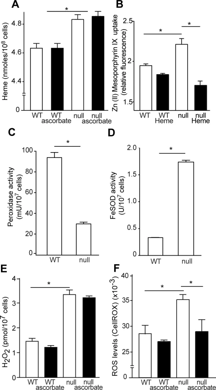 TcK2 null parasites incorporate more heme than WT cells, resulting in increased H<sub>2</sub>O<sub>2</sub> and ROS levels.