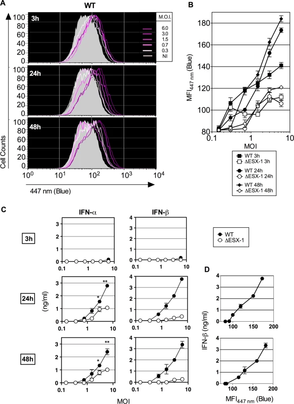Early <i>Mtb</i>-mediated phagosomal rupture, relationship with secretion of type I IFNs.