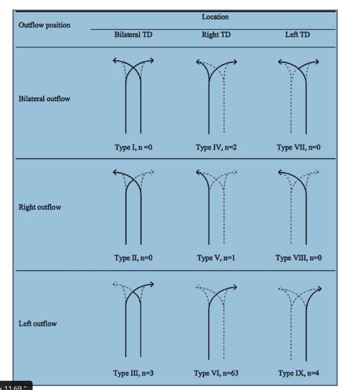 Schéma hlavních typů variací průběhu ductus thoracicus
Převzato z Chen E, Itkin M. Thoracic duct embolization for chylous leaks. In: Seminars in interventional radiology. Thieme Medical
Publishers 2011. p. 63.<br>
Fig. 1: Schematic representation of the major anatomic variants of the thoracic duct
Reprinted with permission from Chen E, Itkin M. Thoracic duct embolization for chylous leaks. In: Seminars in interventional radiology.
Thieme Medical Publishers 2011. p. 63.