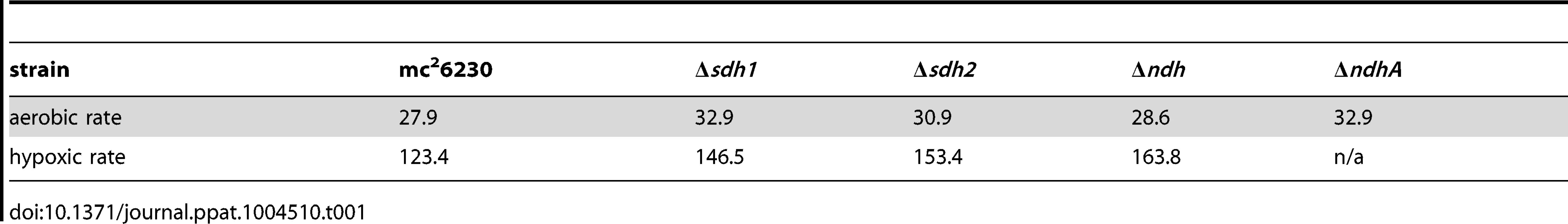 Doubling times (hours<sup>−1</sup>) of mc<sup>2</sup>6230 strains at 100%→1%DO (aerobic rate), and at 1%→0% (hypoxic rate) during growth of batch culture in 200 mL bioreactors.