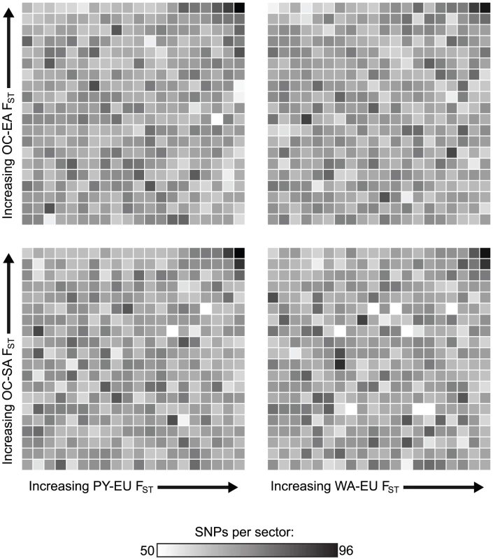 Heat map showing ranks for four divergence comparisons.
