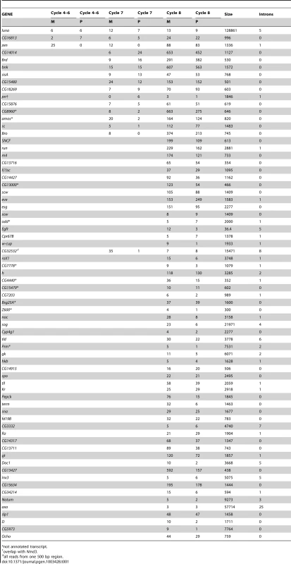 Genes identified by RNA–seq in RNA isolated for indicated stages.