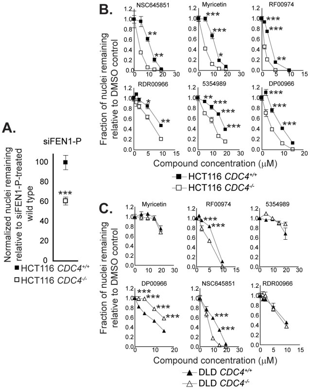 Cell-based assays for flap endonuclease inhibitor activity reveal two compounds that selectively inhibit the proliferation of cells deficient in <i>CDC4</i>.