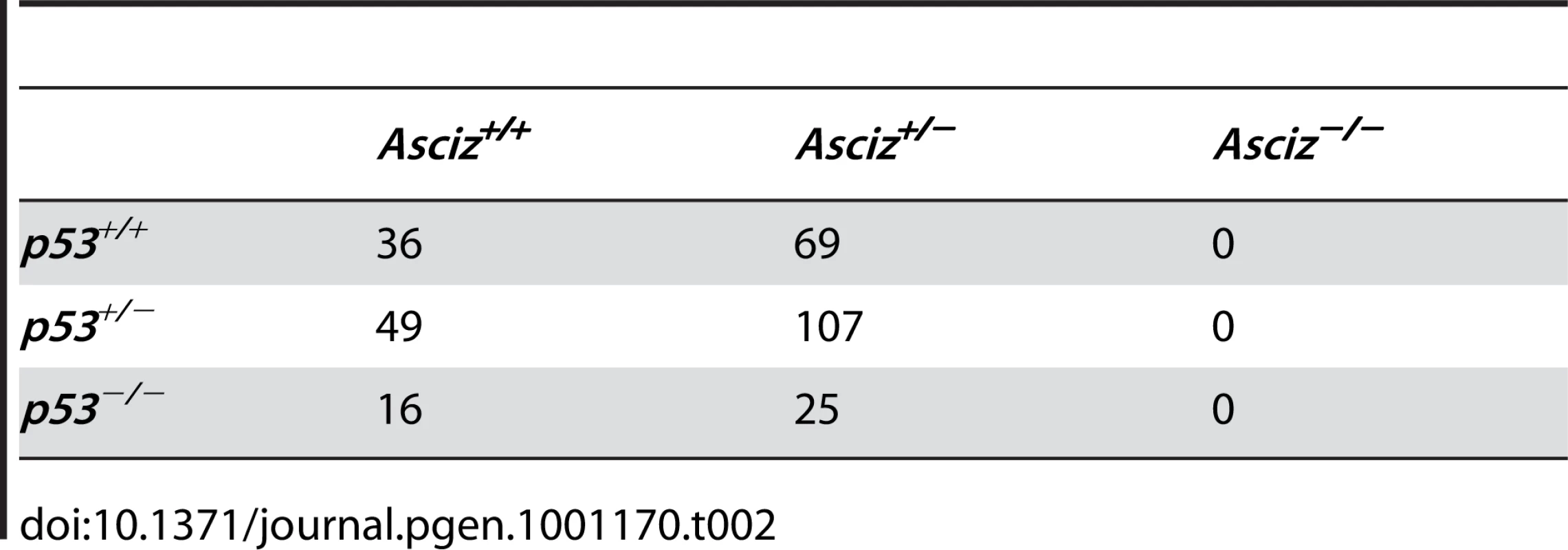 Genotypes of offspring from <i>Asciz<sup>+/−</sup> p53<sup>+/−</sup></i> intercrosses at weaning.