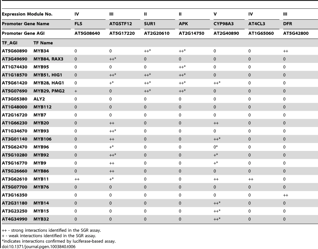 TF-Promoter interaction verified by SGR- and luciferase-based screening.