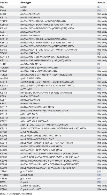 Strain list.