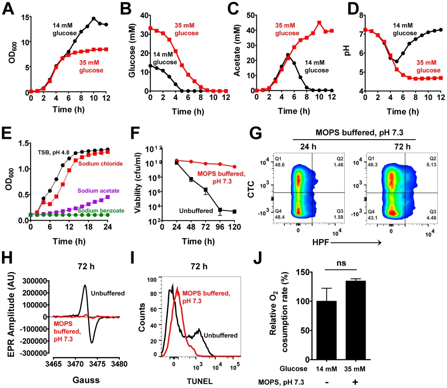 Acetate potentiates cell death.