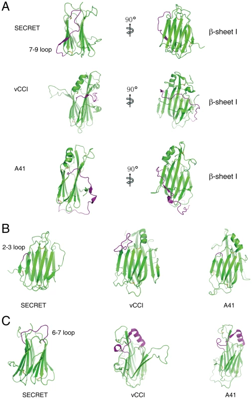 Structural comparison of the SECRET domain with vCCI and A41.
