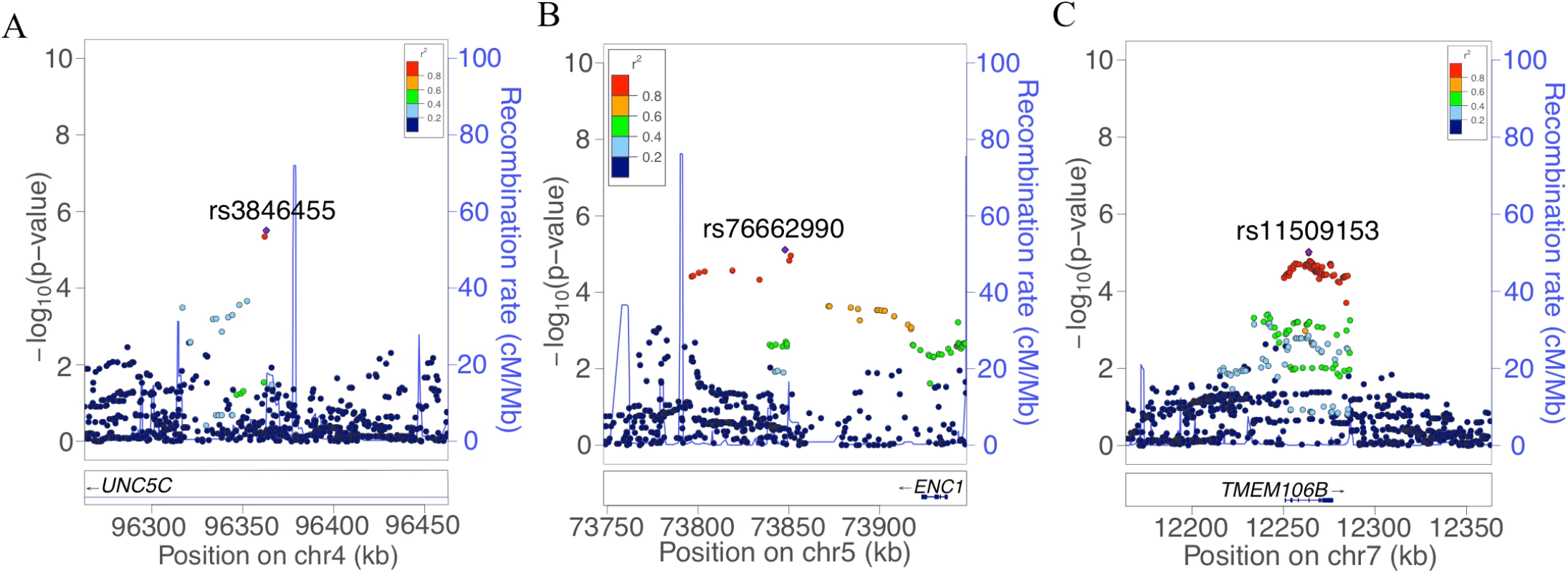 Regional genetic association plots for <i>UNC5C</i>, <i>ENC1</i>, and <i>TMEM106B</i> regions.