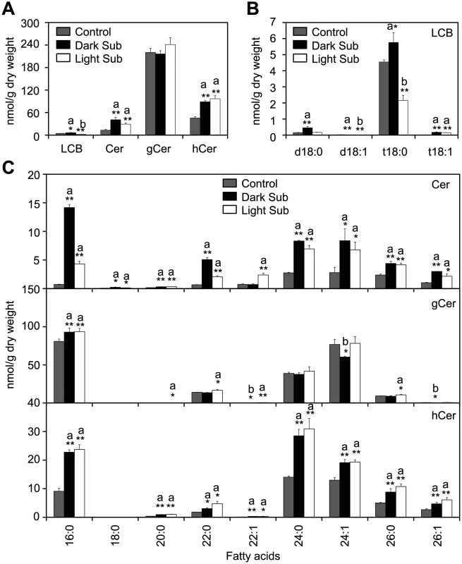 Accumulation of sphingolipids in <i>Arabidopsis</i> rosettes upon light and dark submergence exposure.
