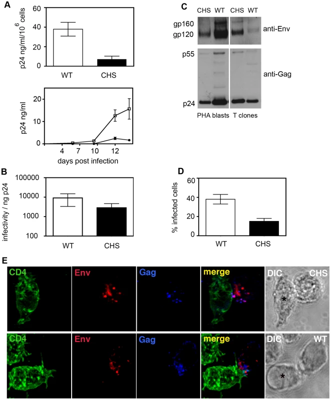 CHS CD4<sup>+</sup> T cells are less able to support HIV-1 replication in culture.