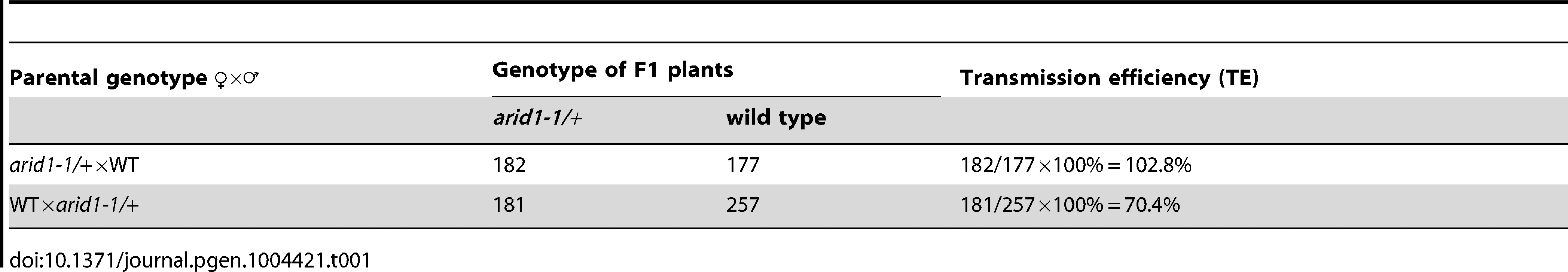 Reduced male transmission in <i>arid1-1</i> plants.
