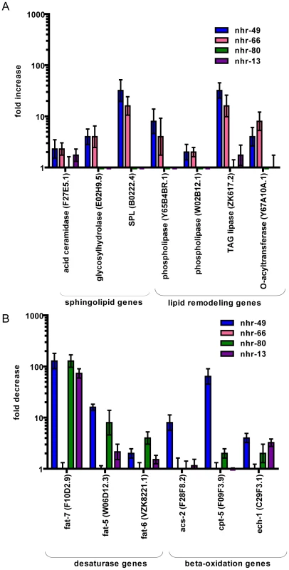 NHR-49 collaborates with NHR-66 to regulate sphingolipid and lipid remodeling genes and with NHR-80 and NHR-13 to regulate fatty acid desaturase genes.