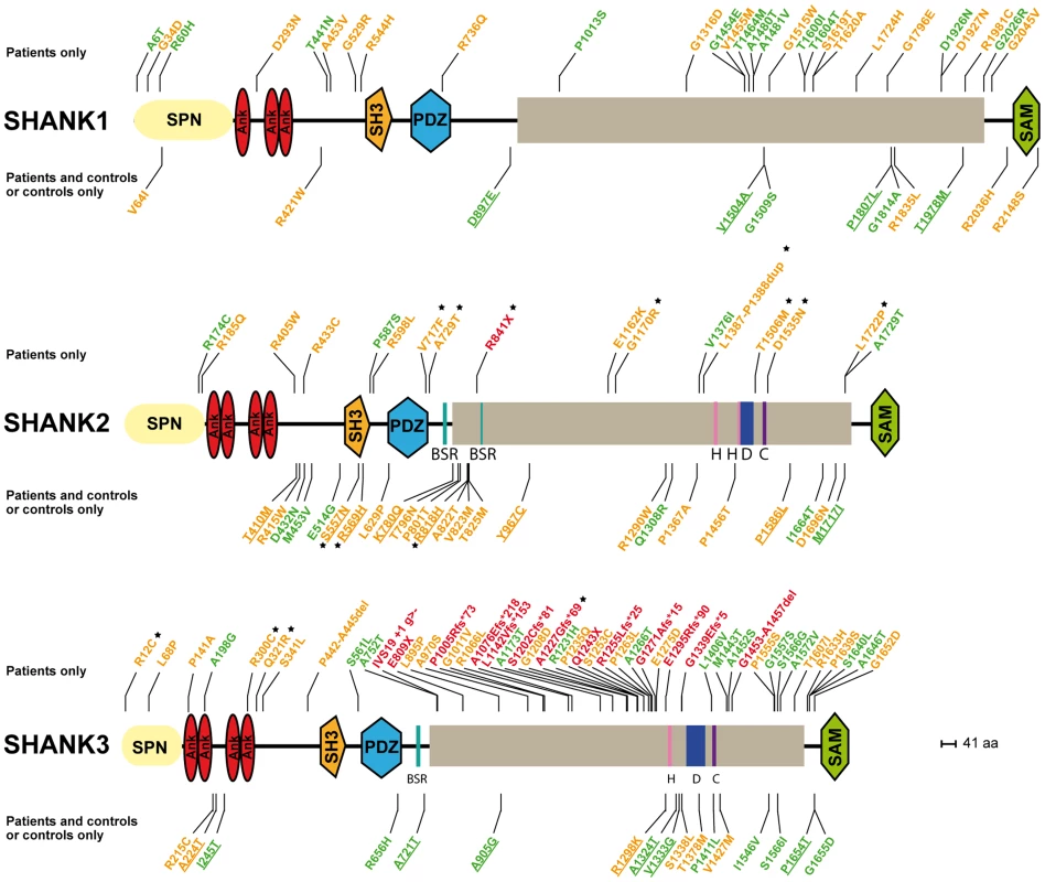<i>SHANK</i> variants in patients with ASD and controls.