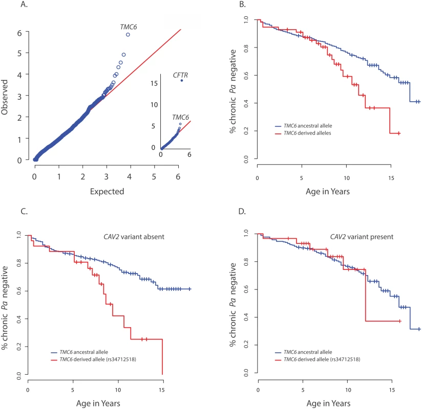 Primary results for <i>TMC6</i> from exome discovery and validation phases and its interaction with <i>CAV2</i>.