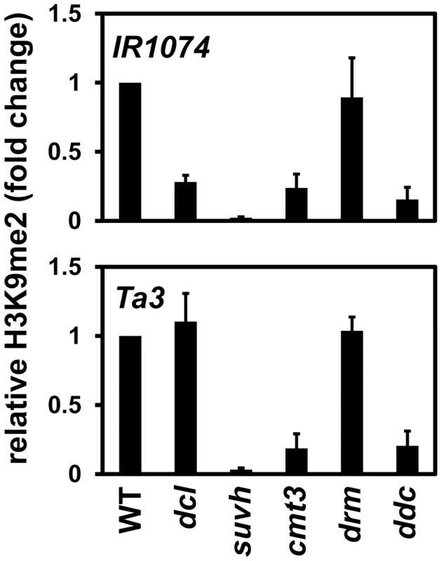 Maintenance of <i>IR1074</i> but not <i>Ta3</i> H3K9me2 patterns is impaired in <i>dcl2 dcl3 dcl4</i>.